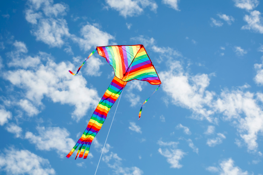 anmypn_kiteflying